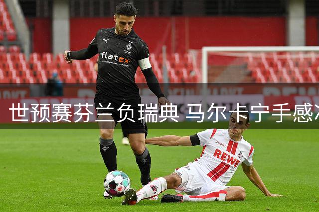 世预赛芬兰负瑞典 马尔卡宁手感冰凉13投仅2中